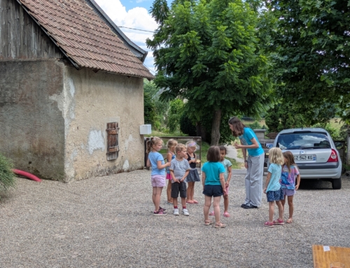 Colo 4-8 Alsace : de belles photos !