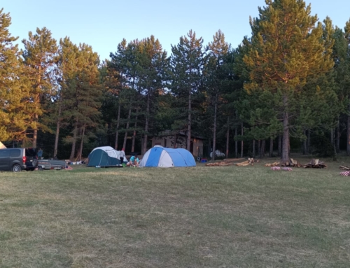 Pré-camps Rallye 2025